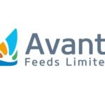 Avanti Feeds